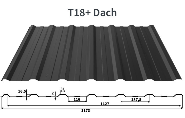 T18+ Dach